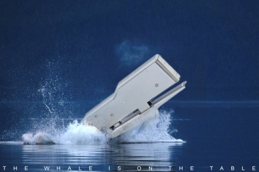 Moby Dick on my desk