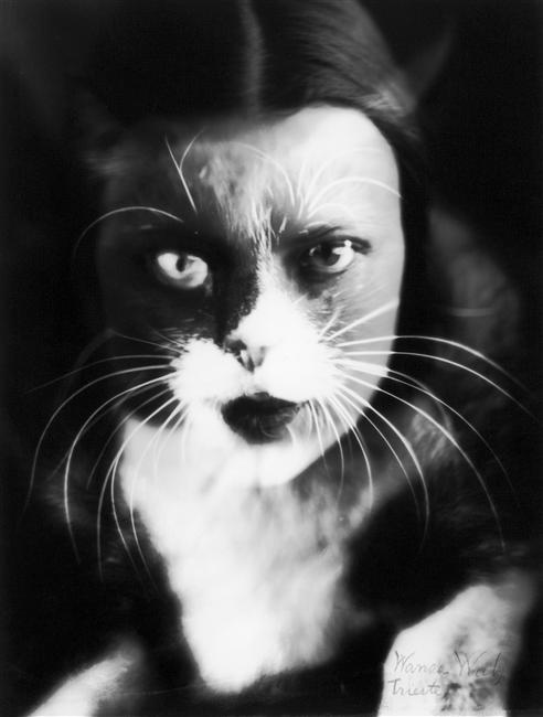 wanda-wulzthecat1932alinariarchive-florence