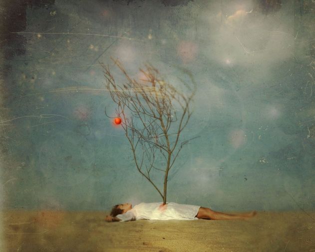 KamilVojnar-Last-Apple